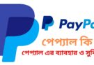 পেপ্যাল কি পেপ্যাল এর ব্যাবহার ও সুবিধা